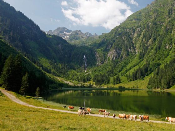 Familientauglicher Wanderweg rund um den Bodensee